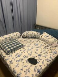 Canberlin Lodge (D14), Apartment #459078271